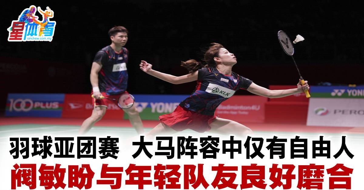 他全能型球