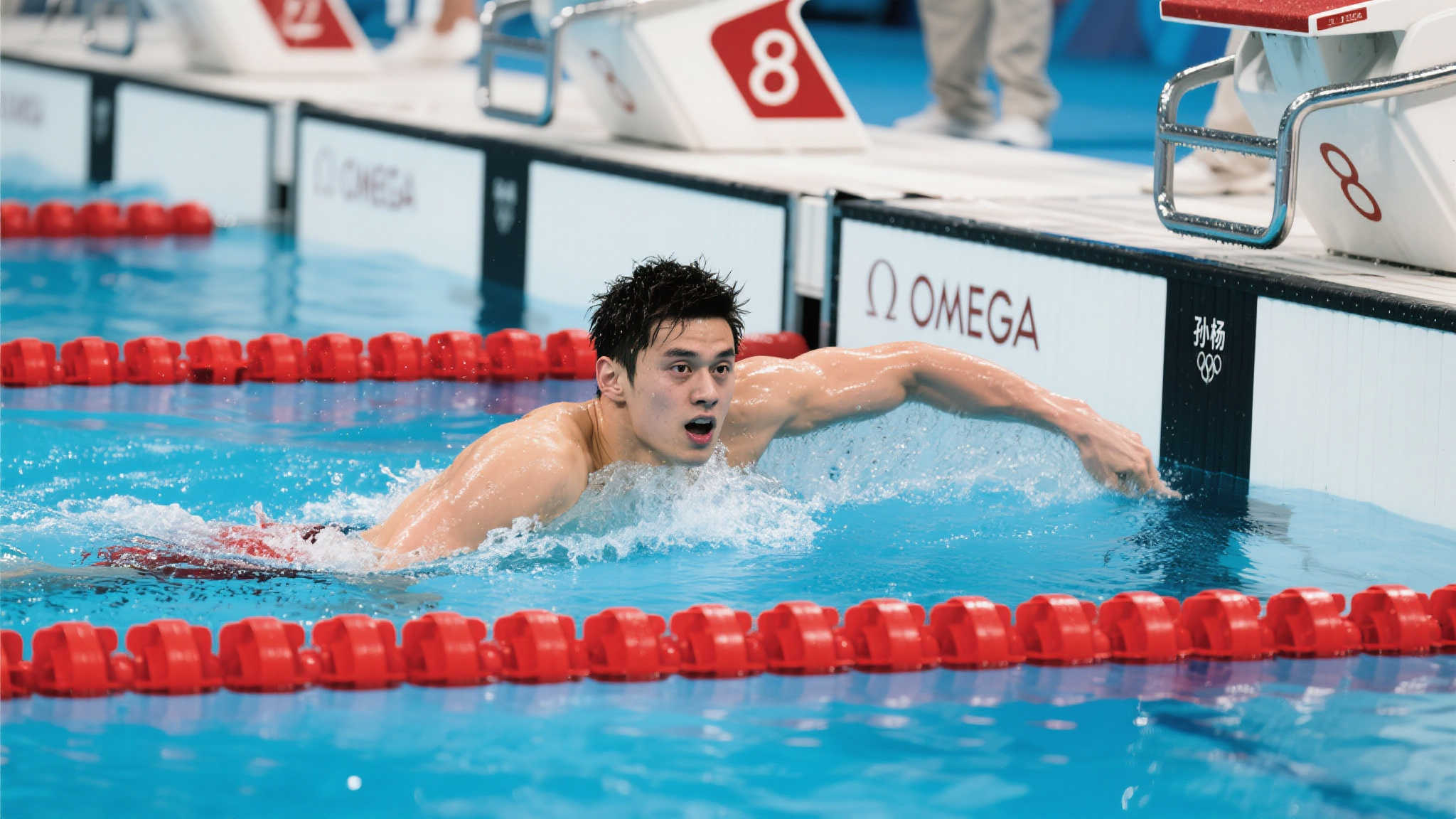 比赛安全环 比赛安全环