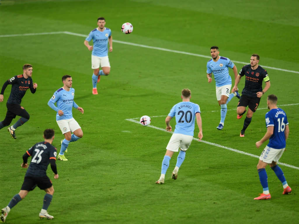 体育观众和 体育观众和